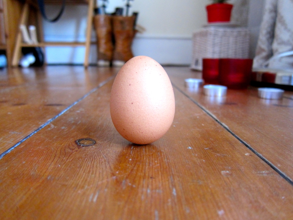 A standing egg